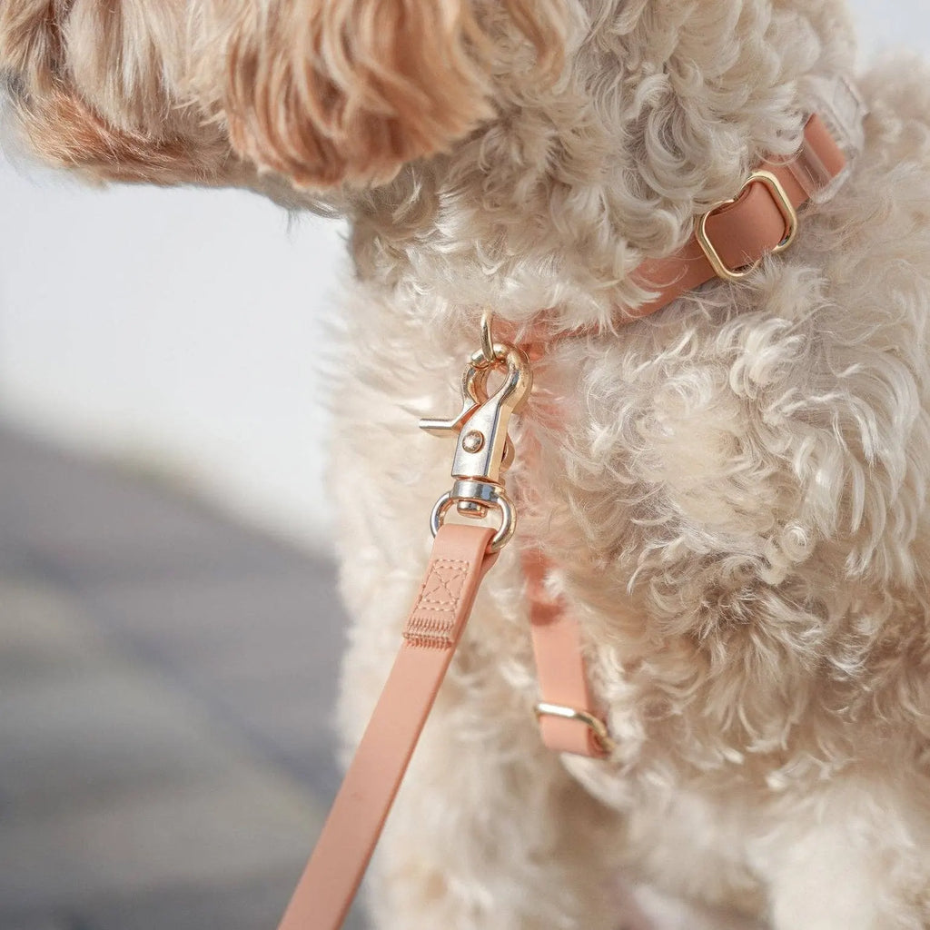 Harnais pour chien imperméable - Beige Latte