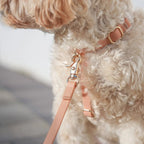 Harnais pour chien imperméable - Beige Latte