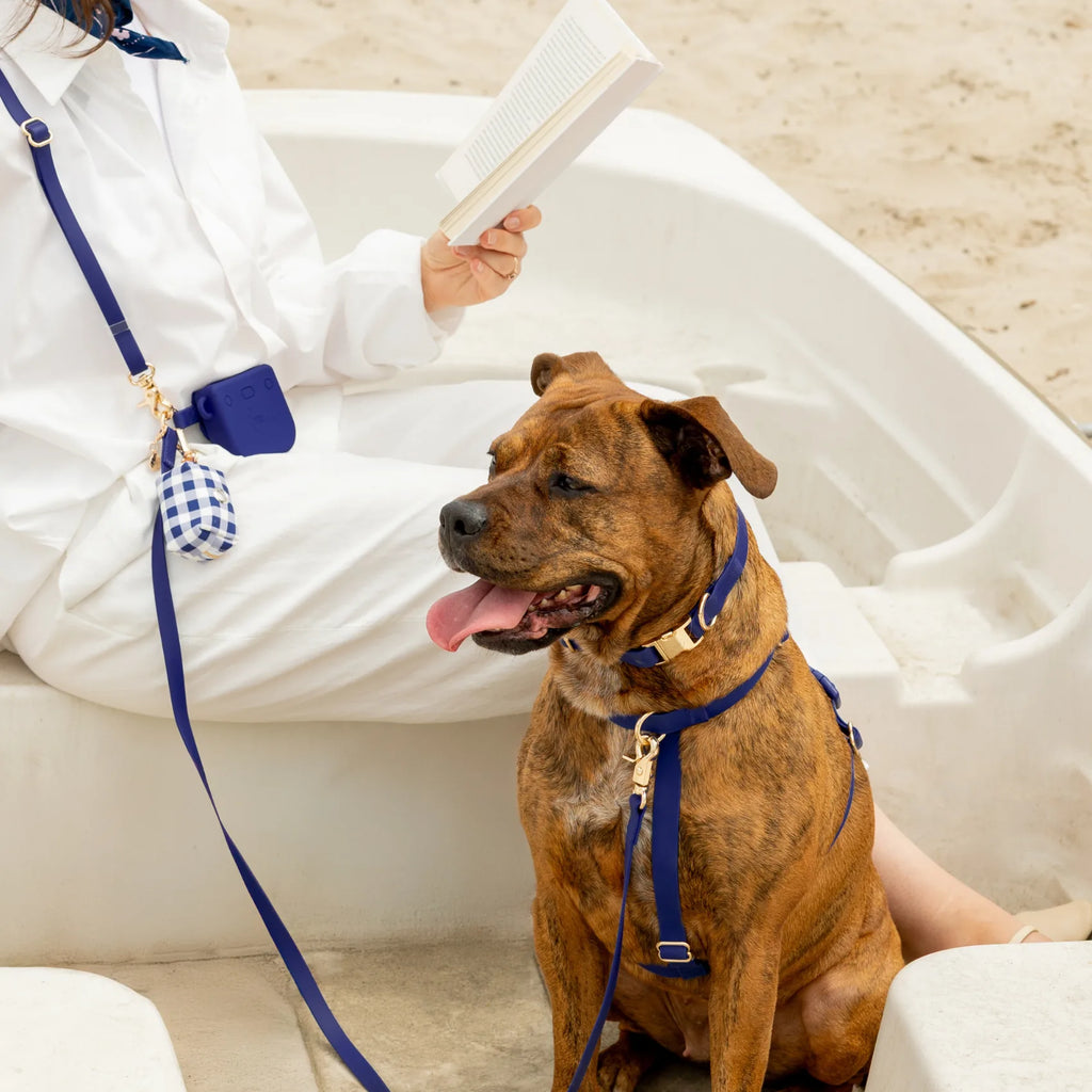 Harnais pour chien imperméable - Bleu marine