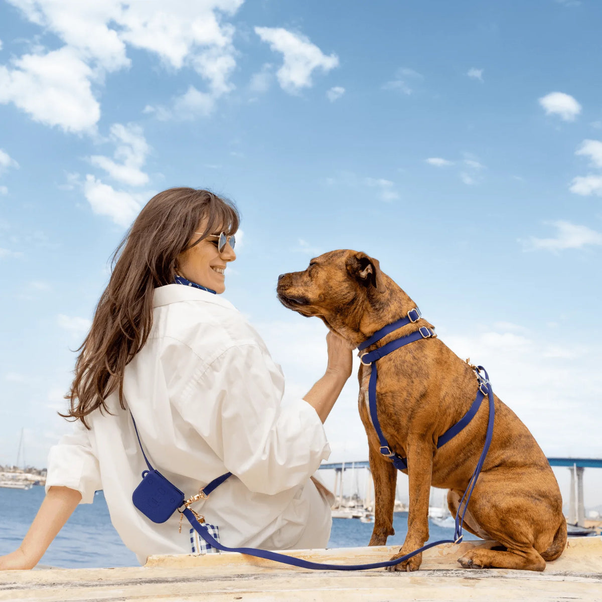 Harnais pour chien imperméable - Bleu marine
