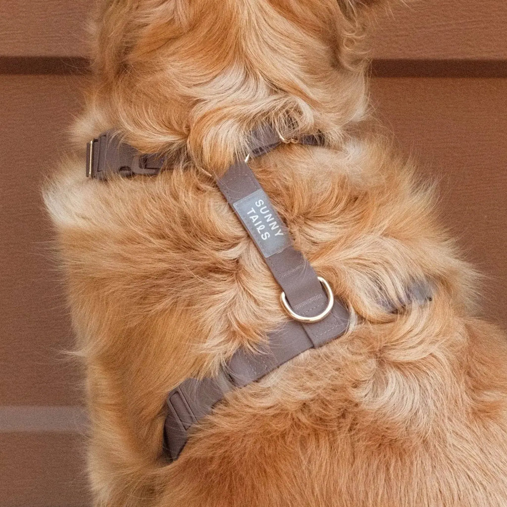 Harnais pour chien imperméable - Chocolat