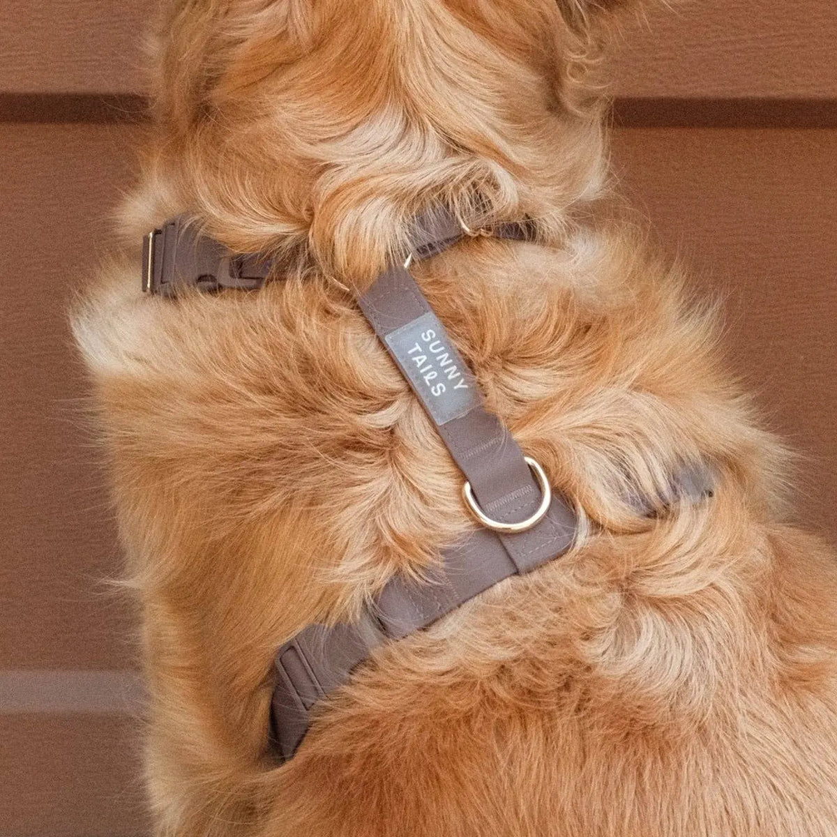 Harnais pour chien imperméable - Chocolat