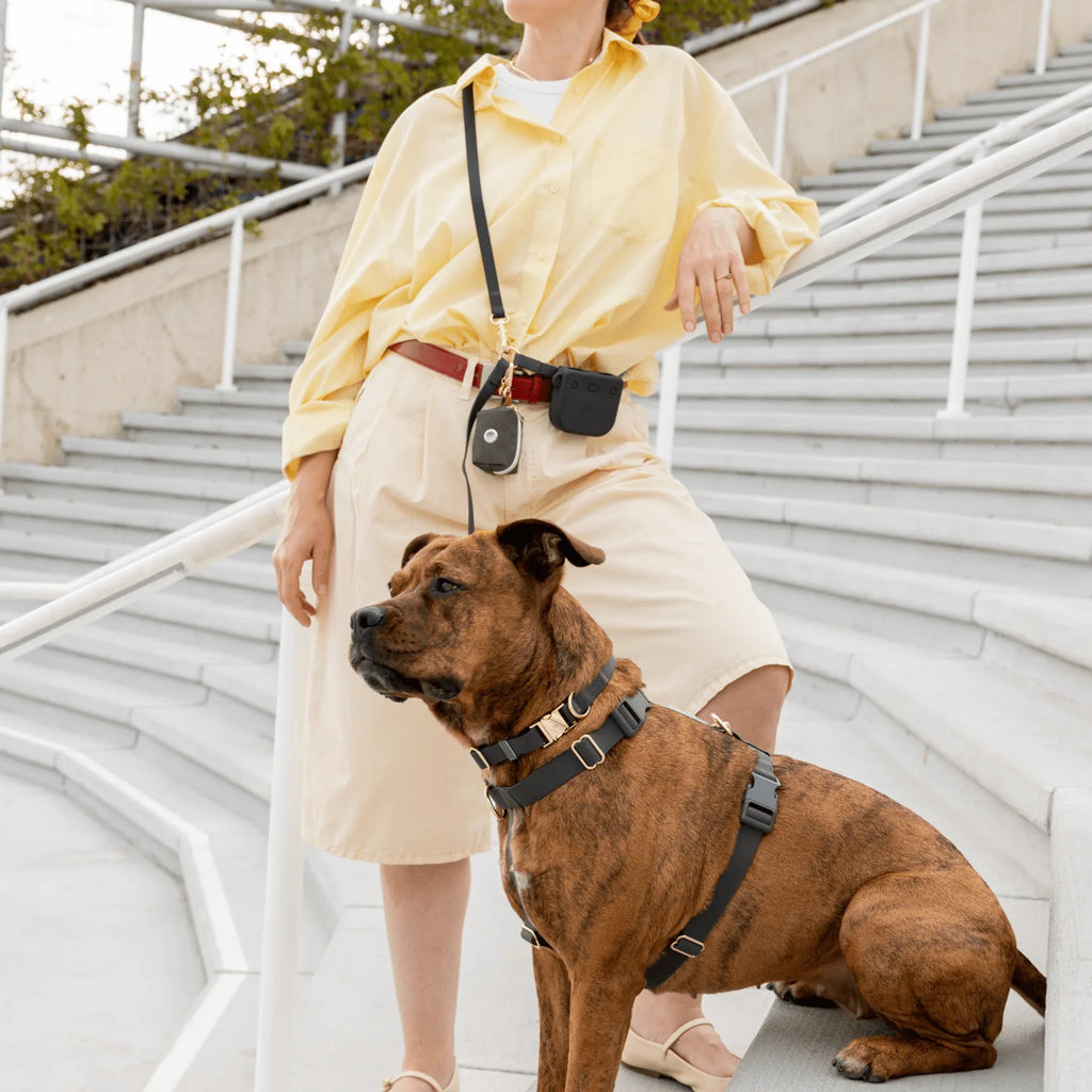 Harnais pour chien imperméable - Noir