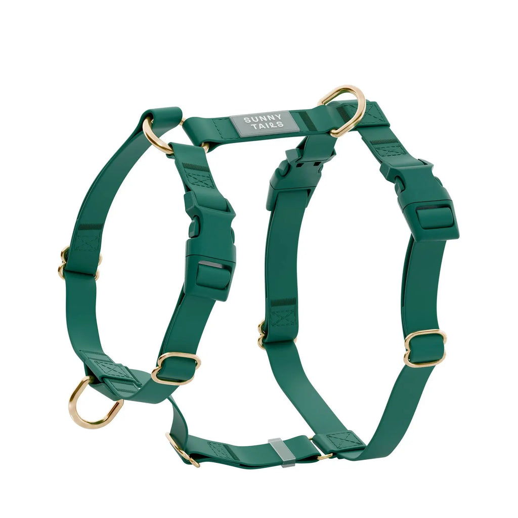 Harnais pour chien imperméable - Vert Sapin