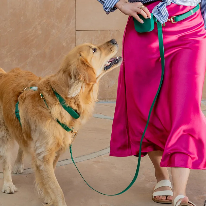 Harnais pour chien imperméable - Vert Sapin
