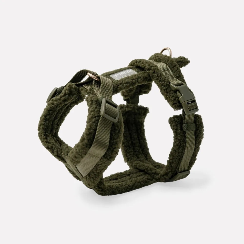 Harnais Sherpa vert foncé