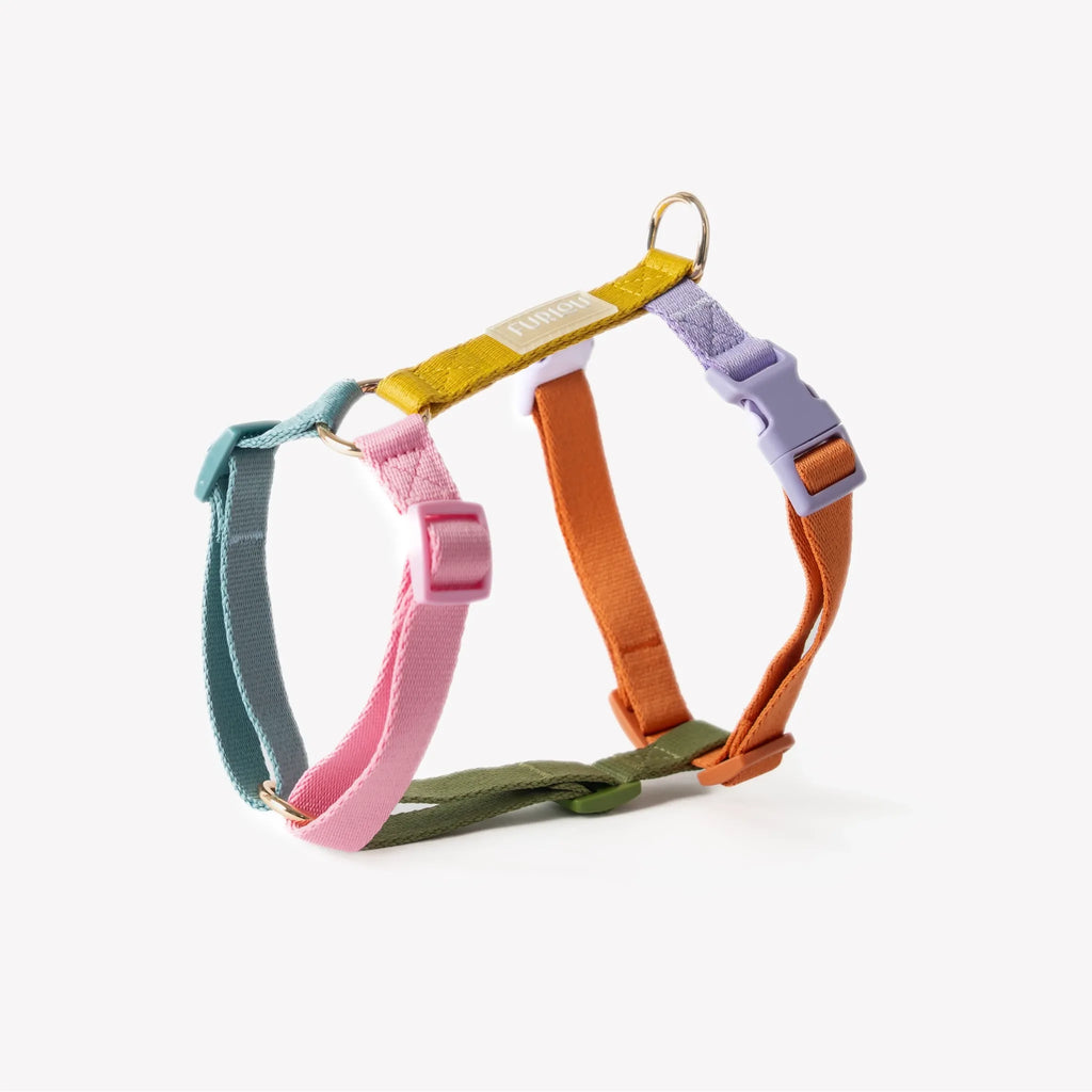 Harnais Strap arc-en-ciel