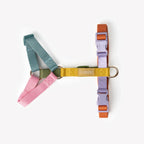 Harnais Strap