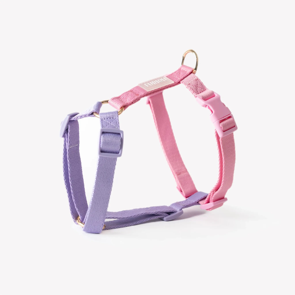 Harnais Strap lavande et rose