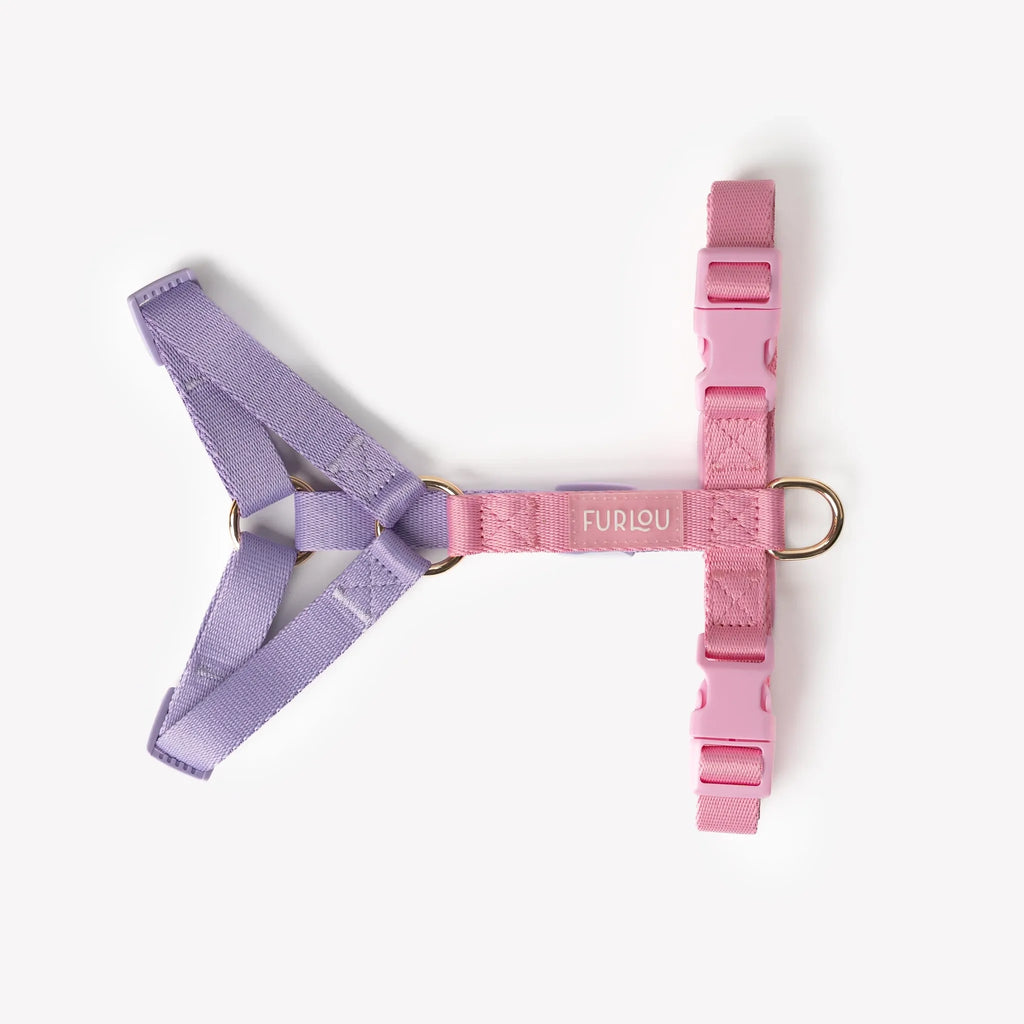 Harnais Strap