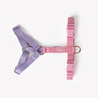 Harnais Strap