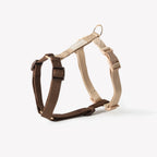 Harnais Strap