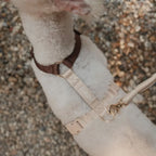 Harnais Strap