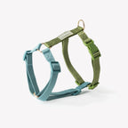 Harnais Strap bleu et vert