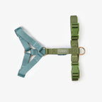 Harnais Strap