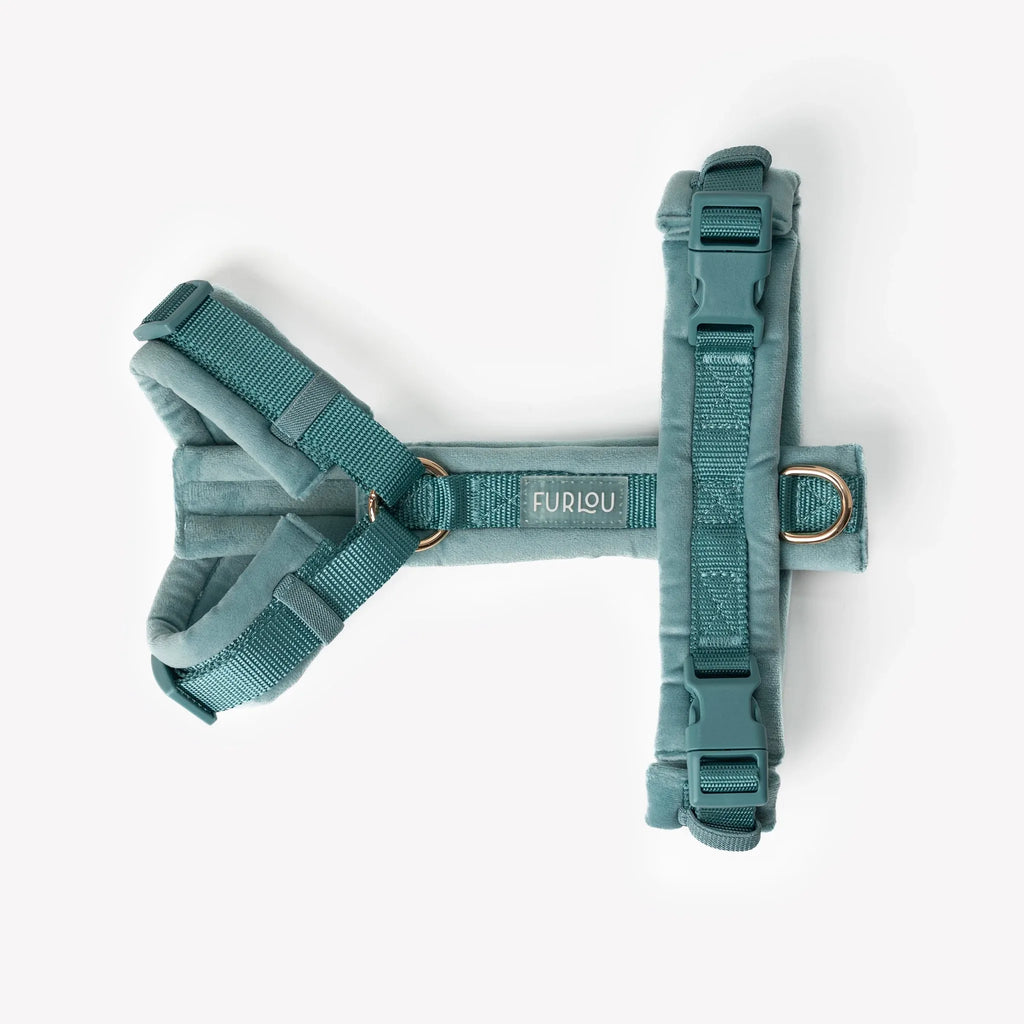 Harnais velour bleu