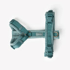 Harnais velour bleu