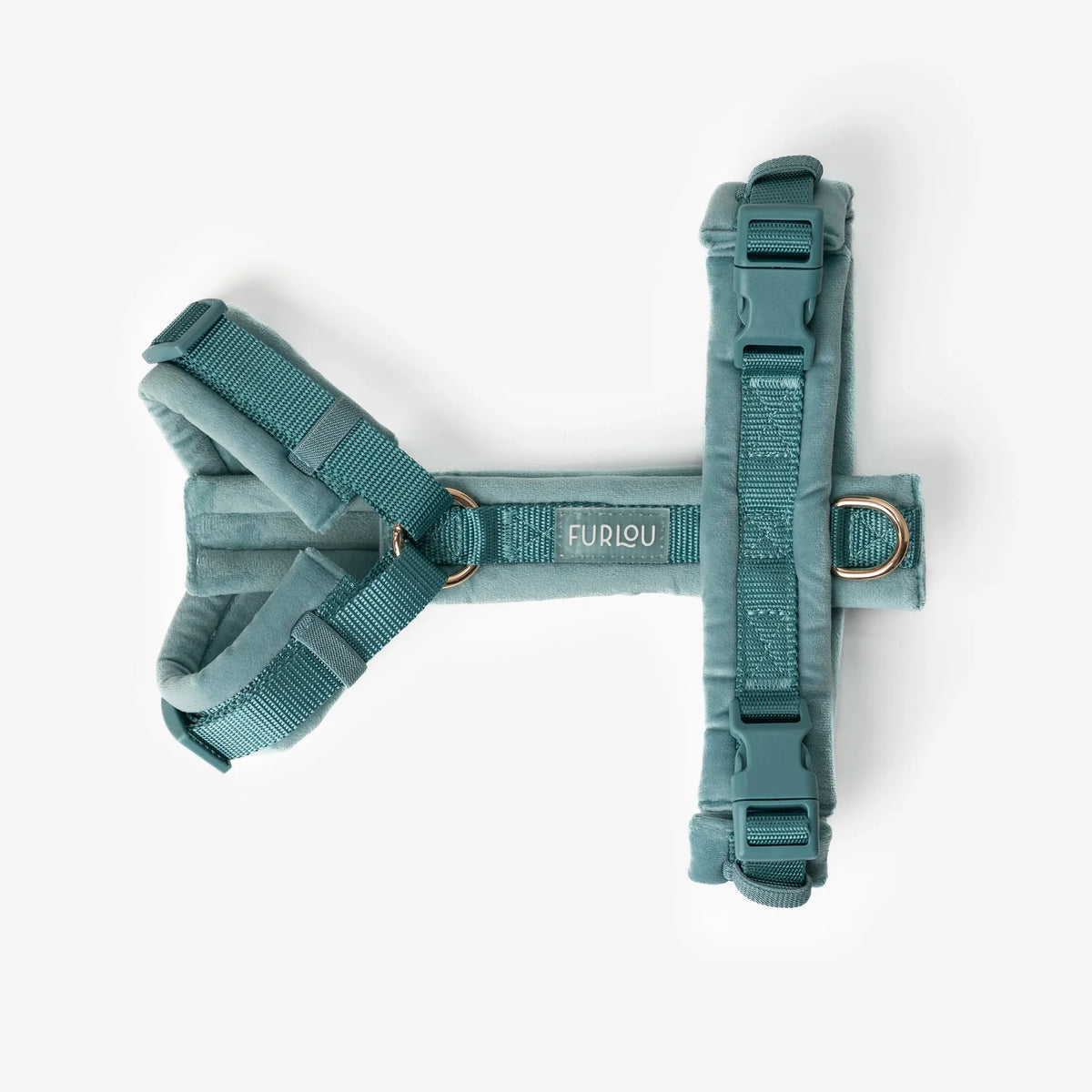 Harnais velour bleu