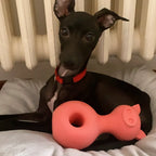 Jouet à mâcher en latex avec pouic - Pig