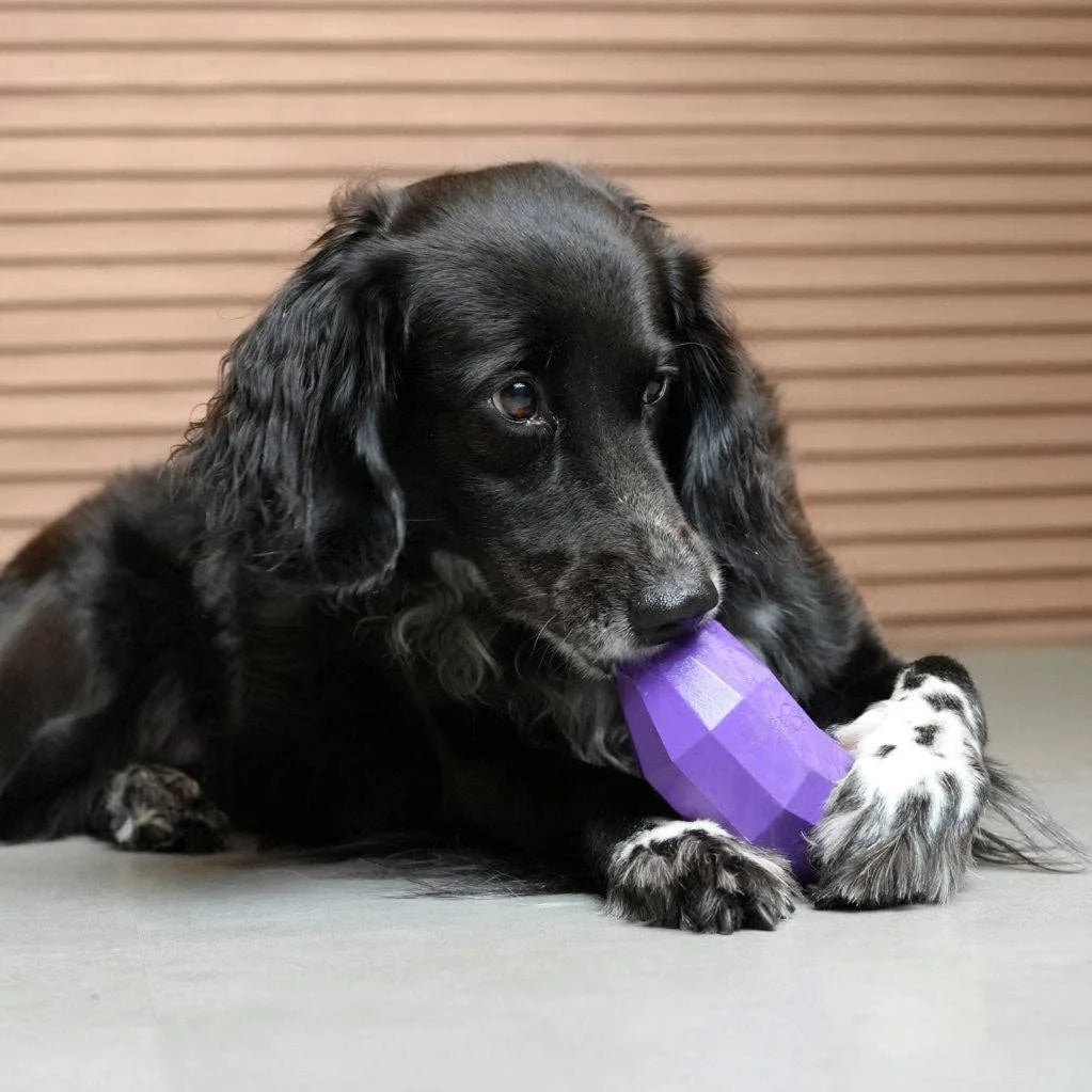 Jouet à remplir Aubergine