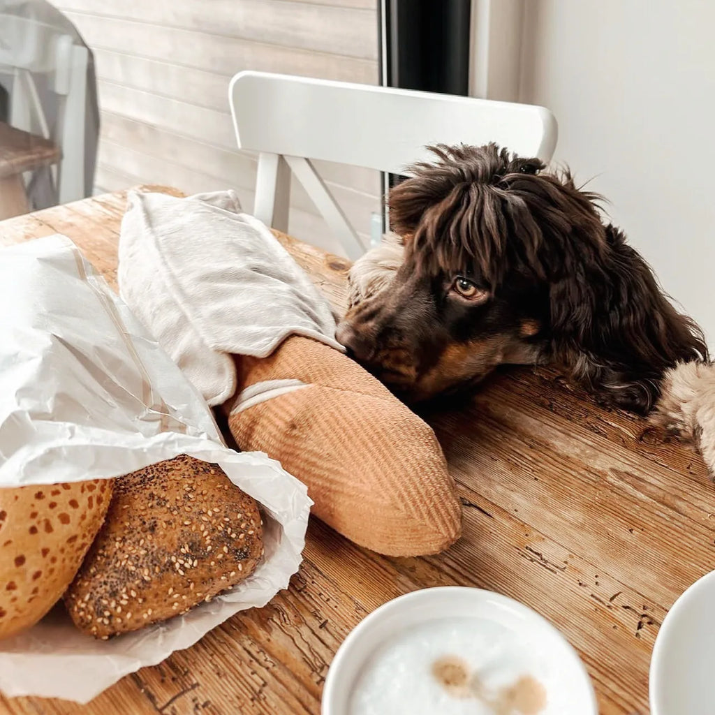 Jouet de fouille Baguette
