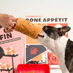 Jouet de fouille "Bone" Appétit