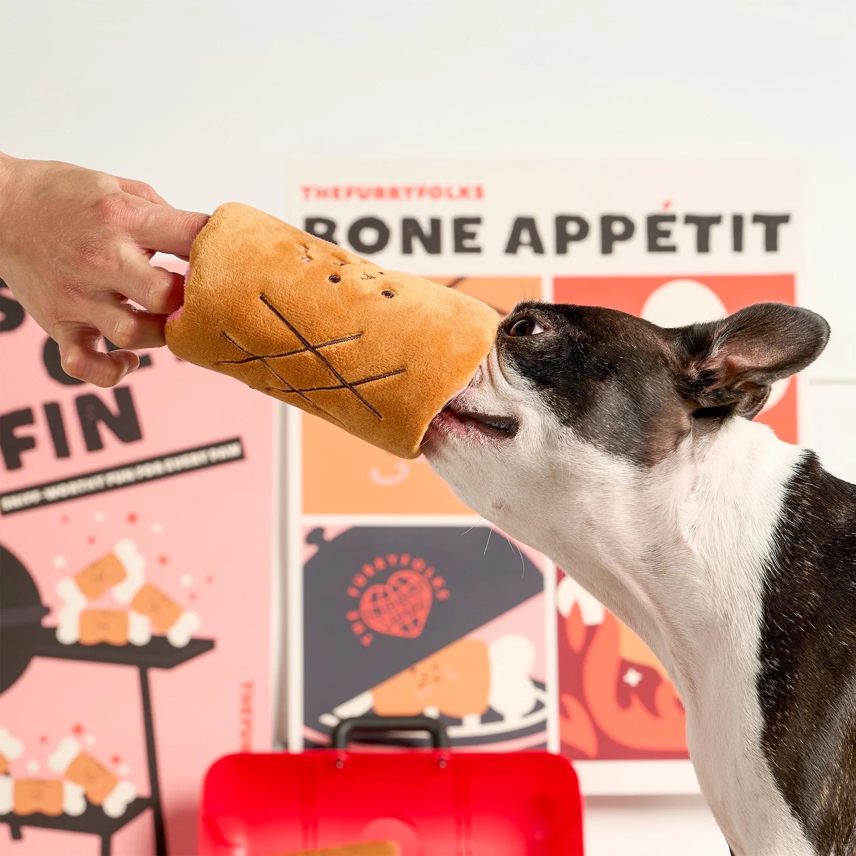 Jouet de fouille "Bone" Appétit