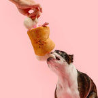 Jouet de fouille "Bone" Appétit