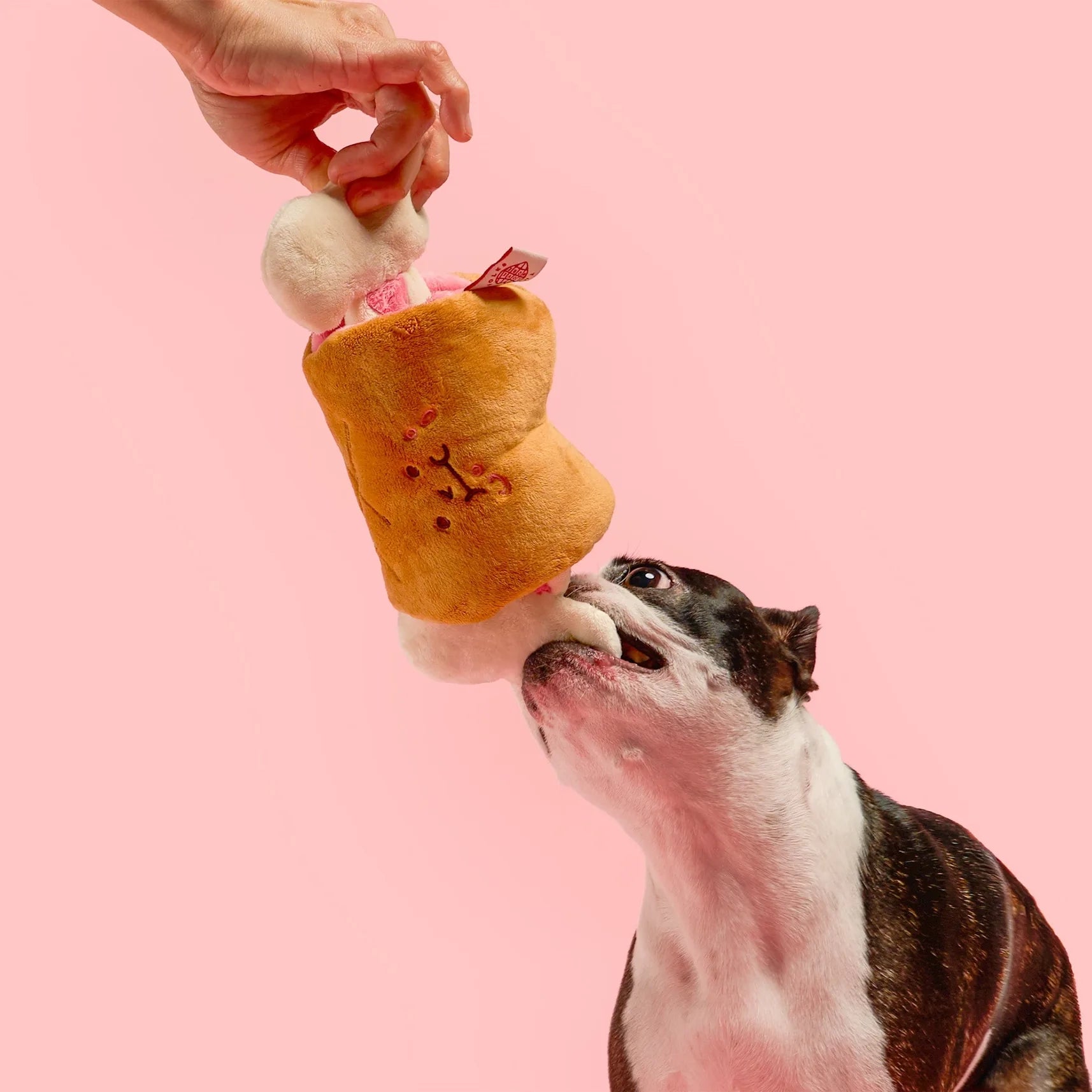 Jouet de fouille "Bone" Appétit