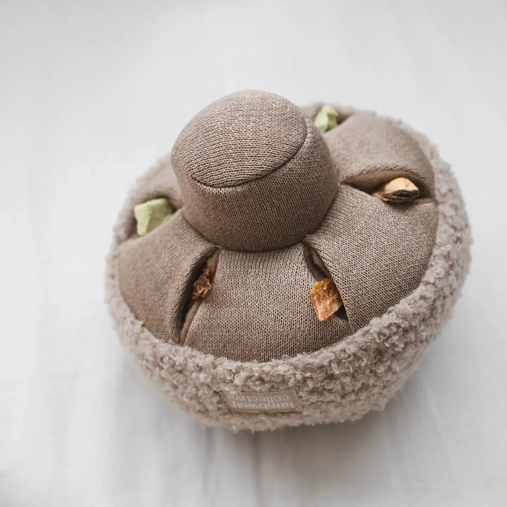 Jouet de fouille Champignon