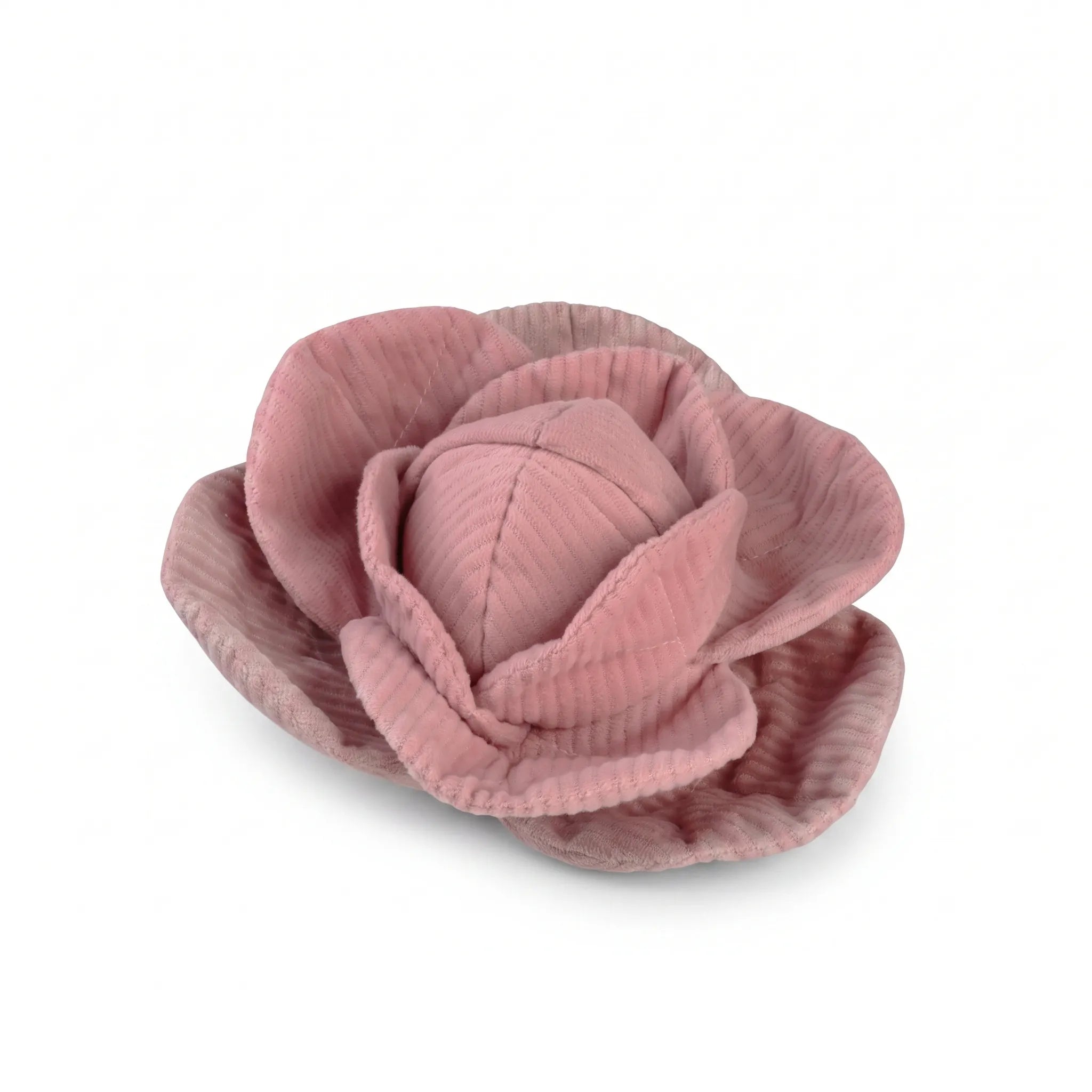 Jouet de fouille Chou rouge - Petit
