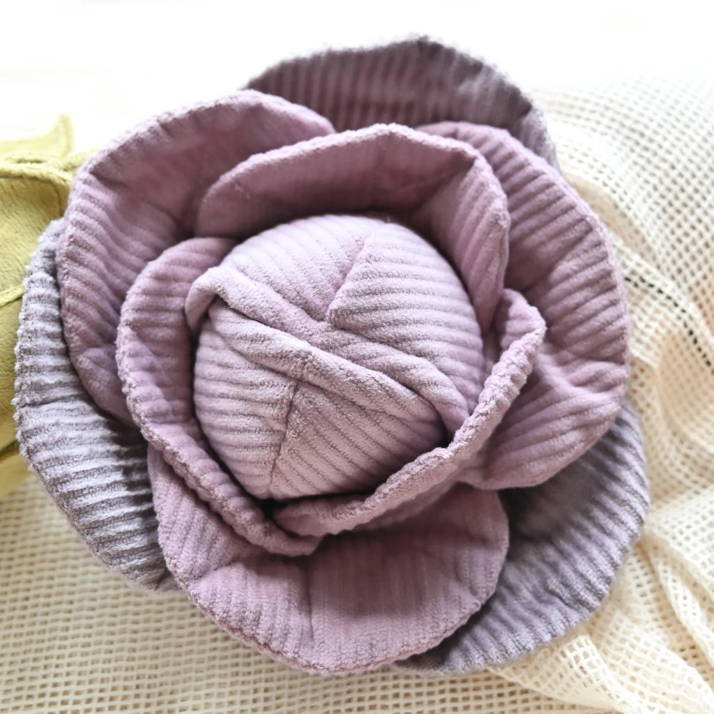 Jouet de fouille Chou rouge - Petit