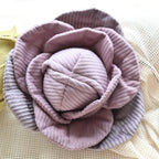 Jouet de fouille Chou rouge - Petit