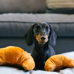 Jouet pour chien - Croissant (Mini)