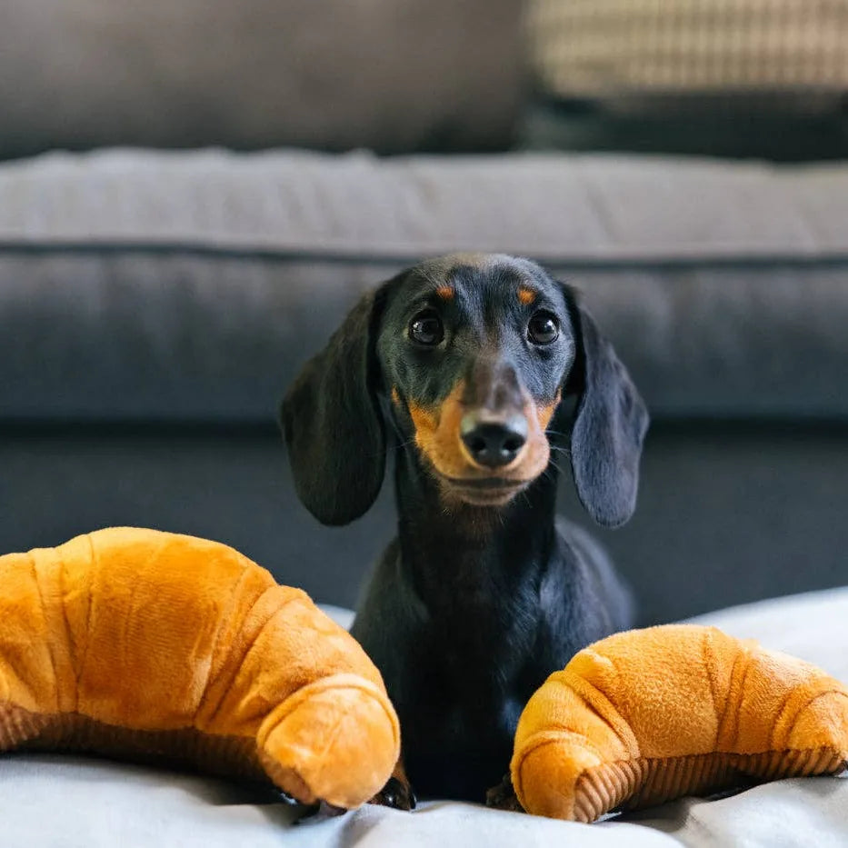 Jouet pour chien - Croissant (Mini)