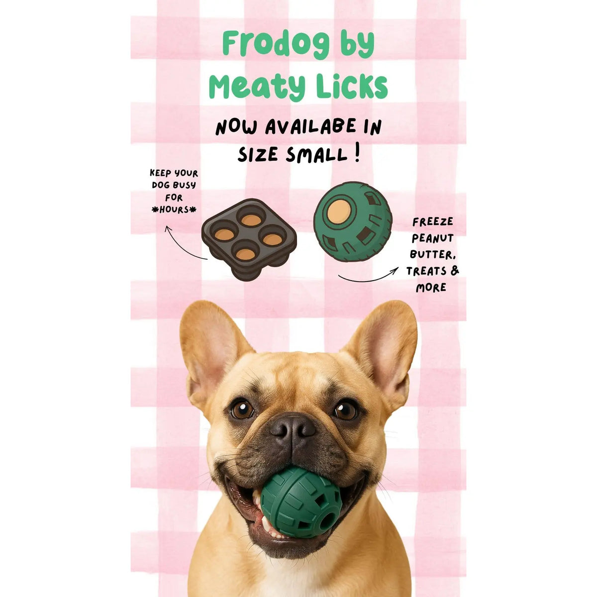 Jouet d'occupation Frodog