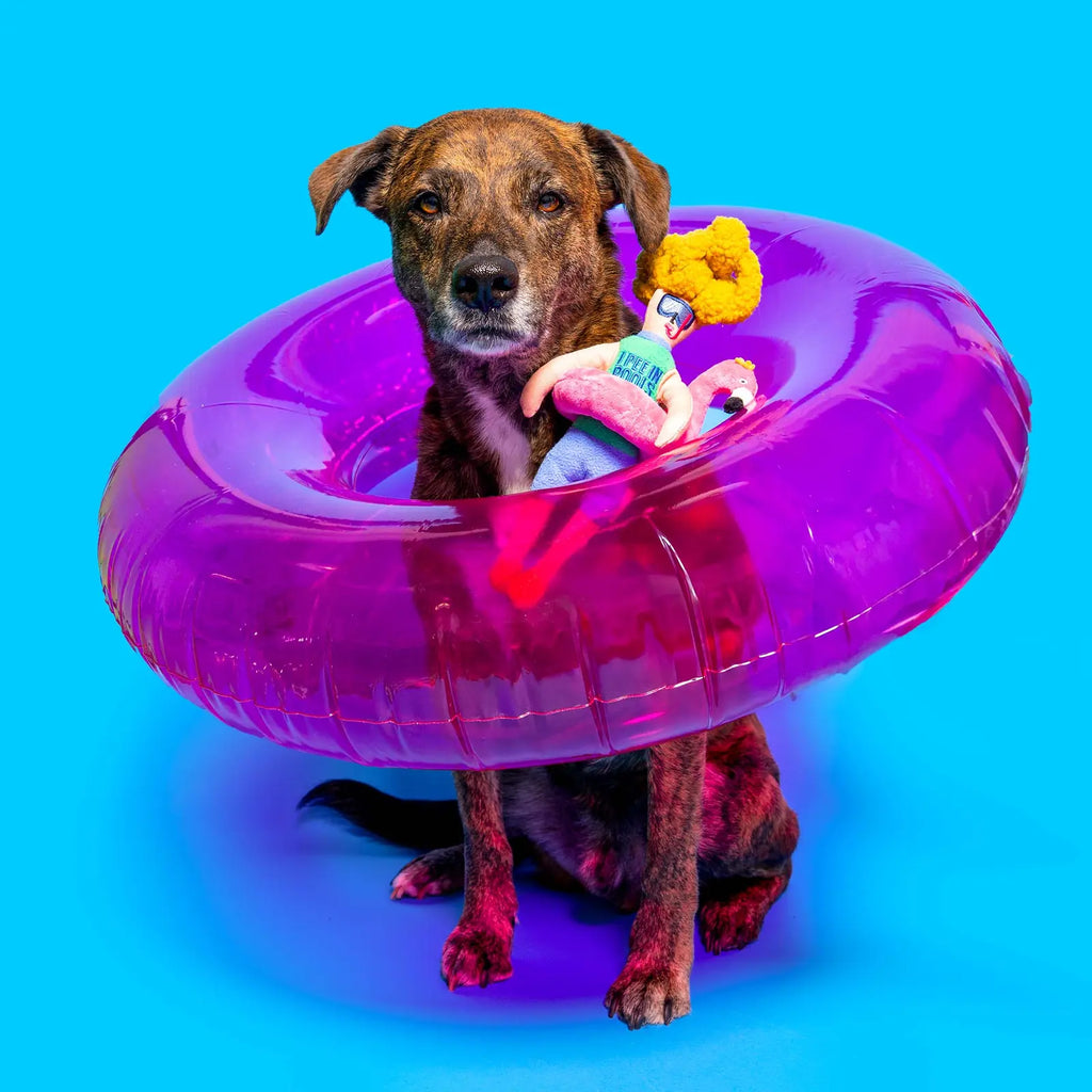 Jouet de fouille Flamingo Hooman