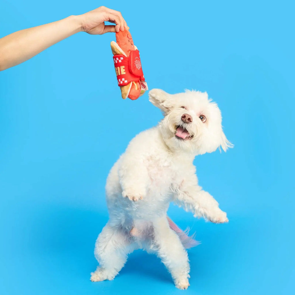 Jouet de fouille Hot Doggie