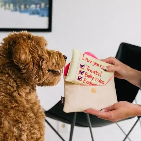 Jouet de fouille pour chien - Lettre d'amour