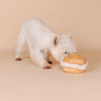 Jouet peluche Bagel