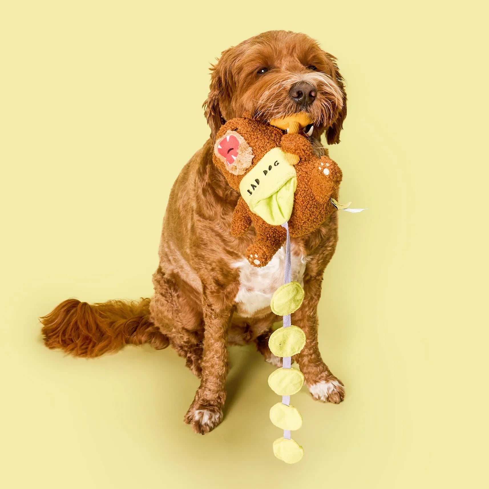 Jouet de fouille - Happy bear