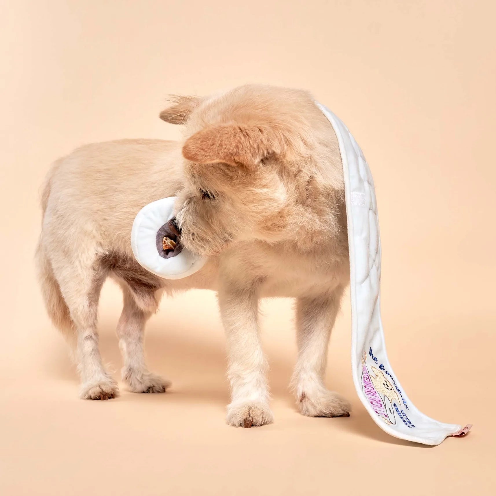 Jouet de fouille Papier Hygiénique
