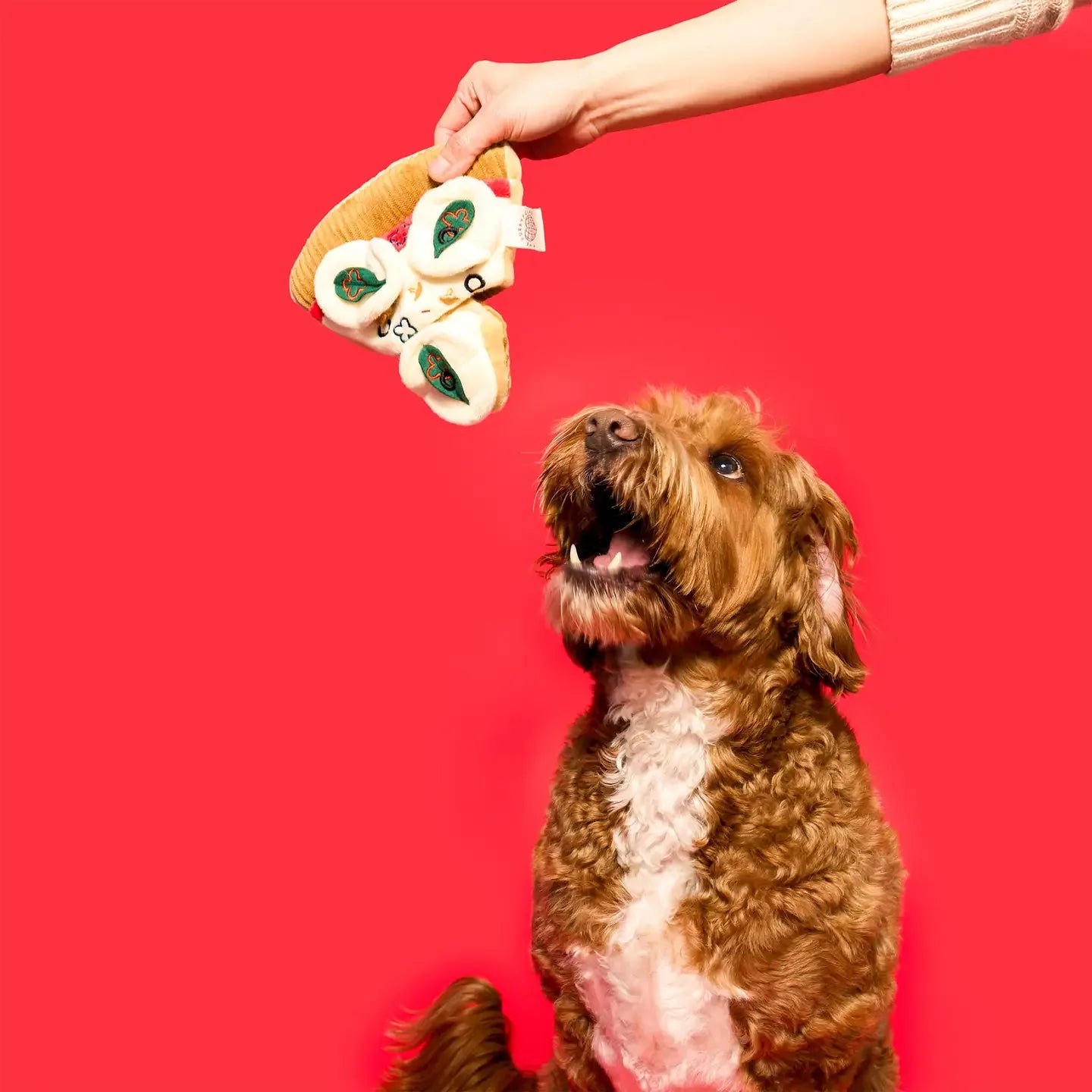 Jouet de fouille pour chien en forme de pizza