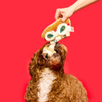 Jouet de fouille pour chien en forme de pizza