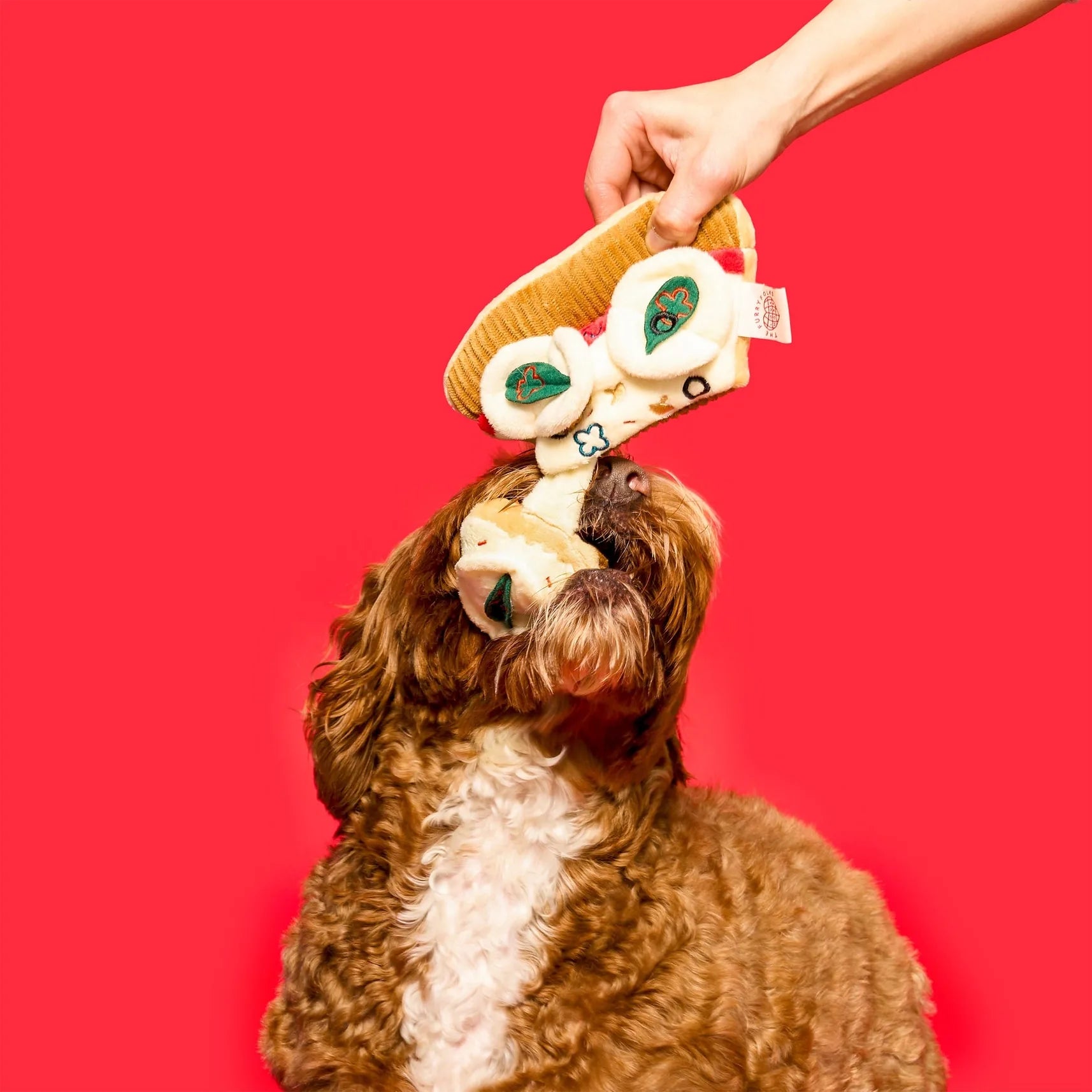 Jouet de fouille pour chien en forme de pizza