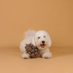 Jouet de fouille Pomme de pin