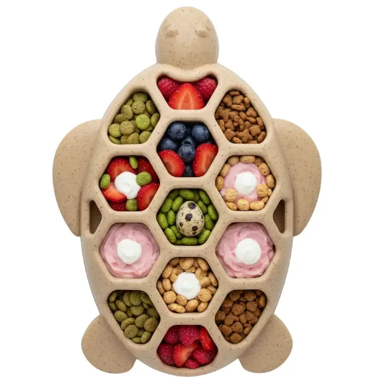 Jouet à mâcher en nylon ultra durable Tortue