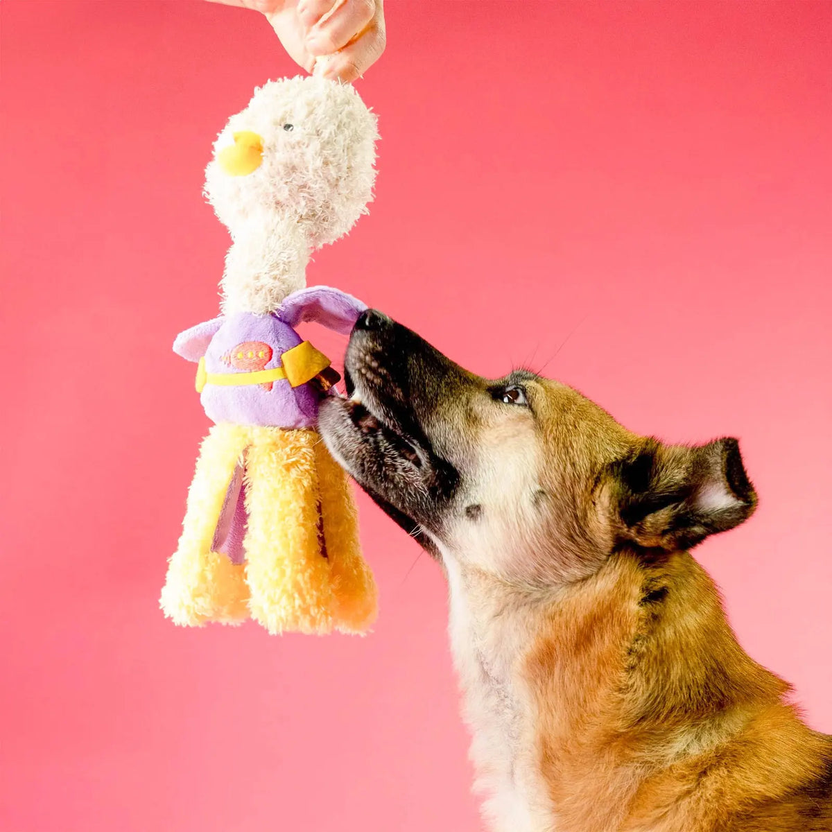 Jouet peluche - Autruche habillée