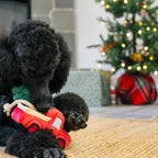 Jouet Peluche Truck de Noël