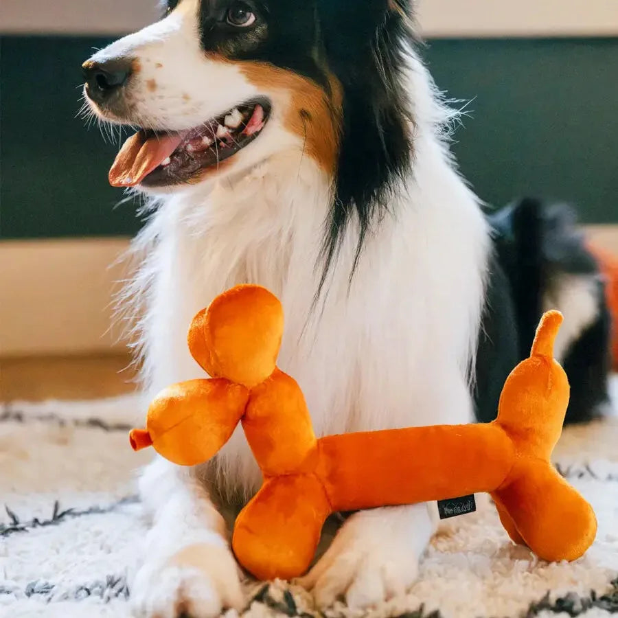 Jouet pour chien - Ballon en forme de chien